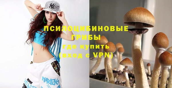 гашик Верея