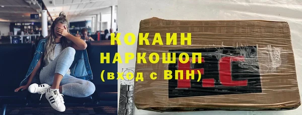 молекула духа Богородицк