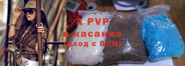 PSILOCYBIN Богданович