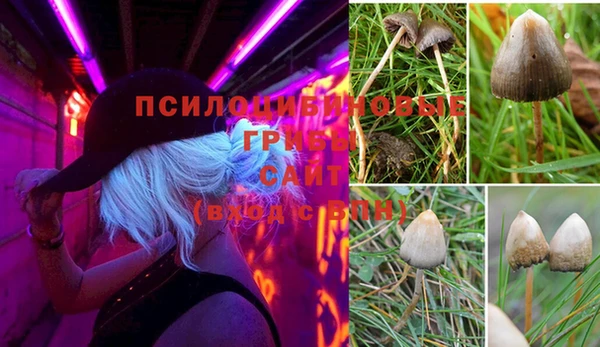 прущие крисы Беломорск