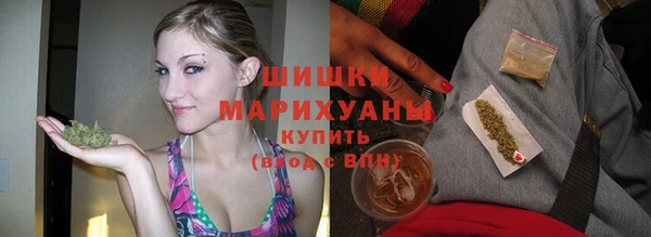 PSILOCYBIN Богданович