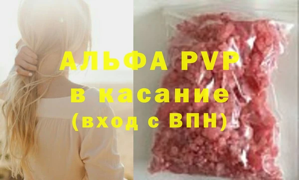 молекула духа Богородицк