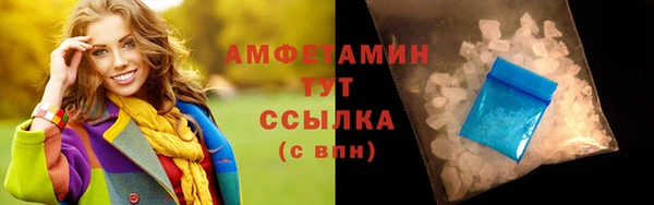 молекула духа Богородицк