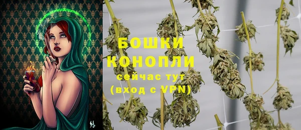 гашик Верея