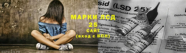 гашик Верея