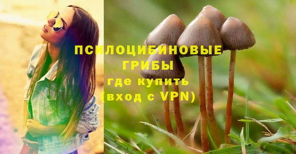 молекула духа Богородицк