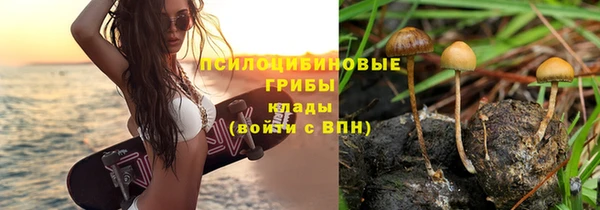 прущий лед Богородск