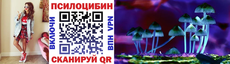 Галлюциногенные грибы Psilocybe  Мглин 